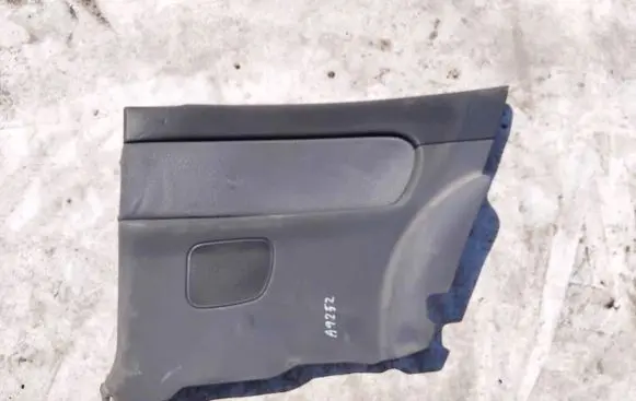 Other rear door trim element