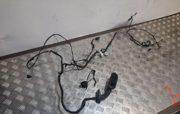 BMW 6 F12 F13 Front door wiring loom 9259834