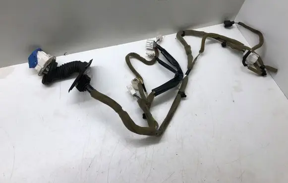 Front door wiring loom