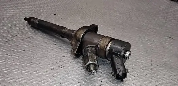 Peugeot 307 Fuel injector 0445110239