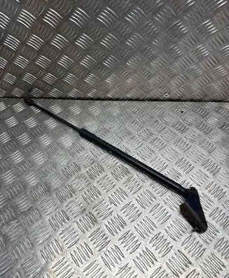 Tailgate/trunk strut/damper
