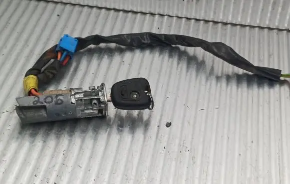 Peugeot 206 Ignition lock contact N0501539
