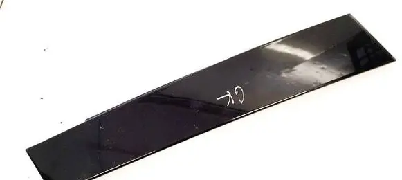 Volvo XC60 Rear door glass trim molding 31294840