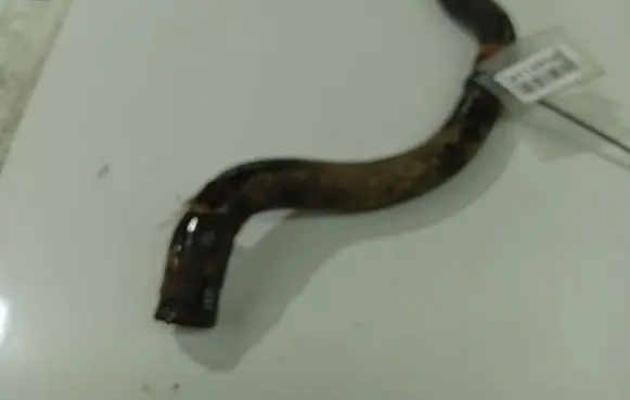 Hyundai Santa Fe Engine coolant pipe/hose 