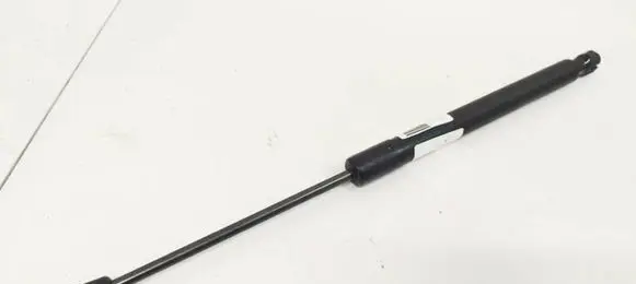Tailgate/trunk strut/damper