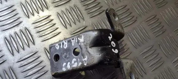 KIA Rio Rear door lower hinge A046057