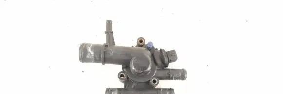 Thermostat/thermostat housing