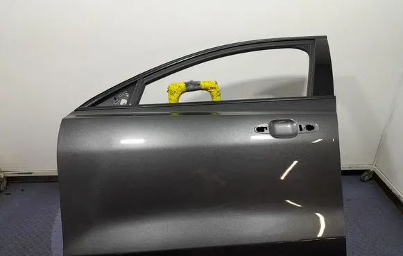 Ford Focus Front door 