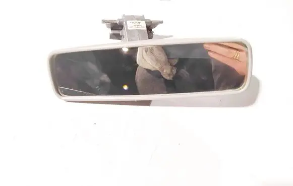 Renault Espace - Grand espace IV Rear view mirror (interior) e200708