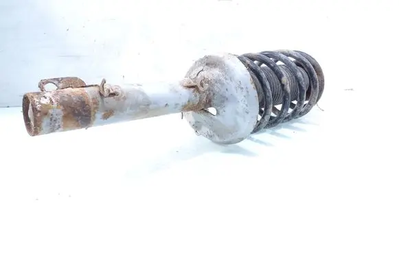 Volkswagen Bora Front shock absorber with coil spring R014052
