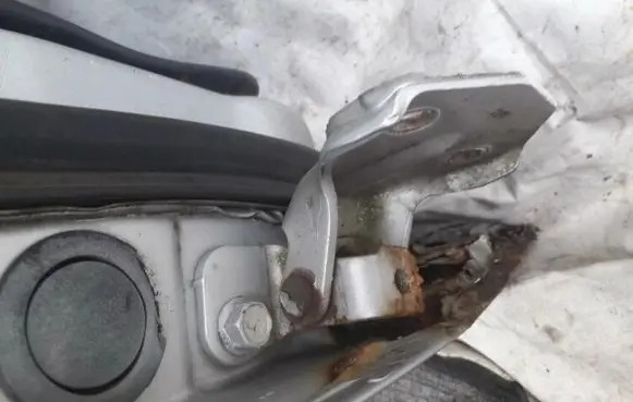 Hyundai Sonata Rear door lower hinge