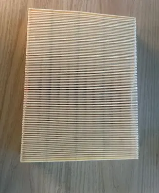 KIA Carens II Air filter 281132G000
