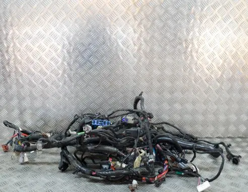 Tesla Model S Other wiring loom 102664606K