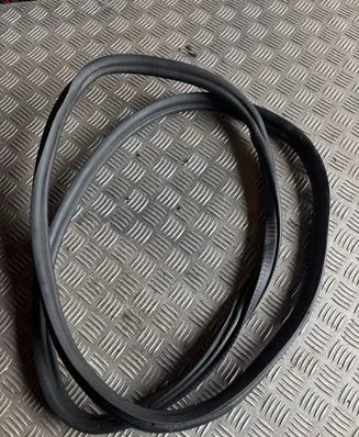 BMW 5 G30 G31 G38 Rear door rubber seal (on body) 7337003