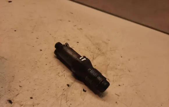 Peugeot Partner Fuel injector LCR6736001