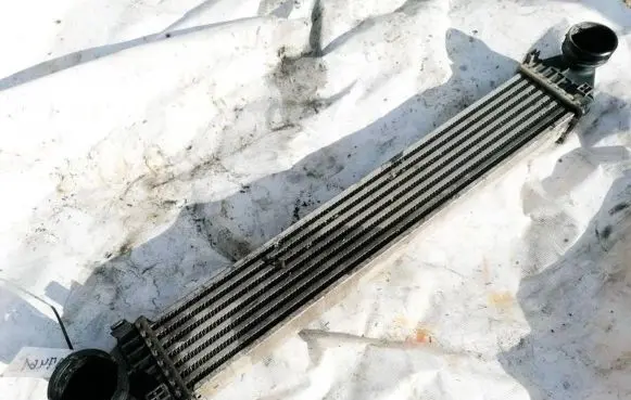 Mercedes-Benz B W245 Intercooler radiator A1695000000 Q04G0976