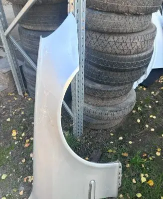 Mercedes-Benz S W220 Fender
