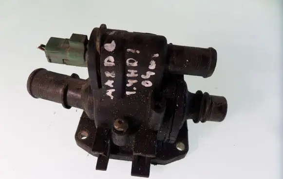 Thermostat/thermostat housing