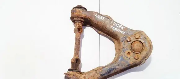 Front lower control arm/wishbone
