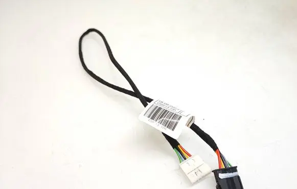 Other wiring loom