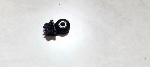 Peugeot 307 Detonation knock sensor 0261231128