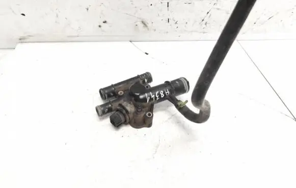 Renault Scenic I Engine coolant pipe/hose