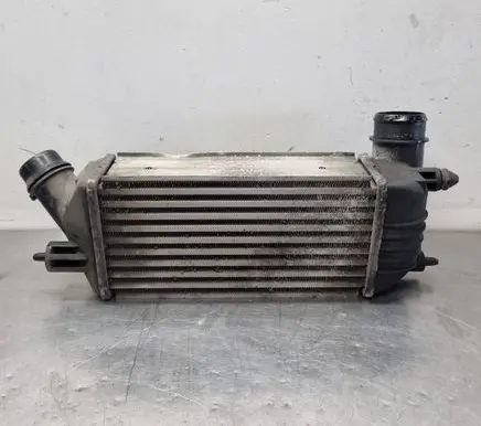 Peugeot Expert Intercooler radiator 899950000