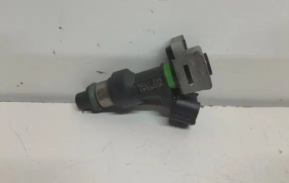 Renault Scenic III - Grand scenic III Fuel injector H025241 5021126