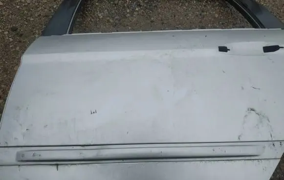 Chrysler Pacifica Rear door trim (molding)