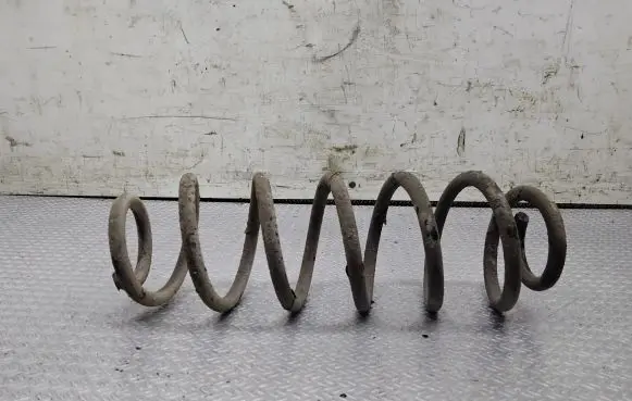 Seat Leon (1M) Rear coil spring