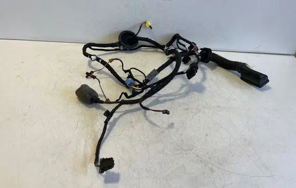 Audi A5 Front door wiring loom 8W8971030