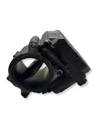 Hyundai Santa Fe Throttle valve 