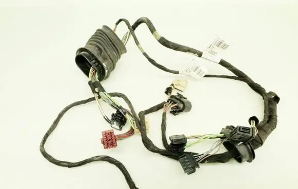 Front door wiring loom