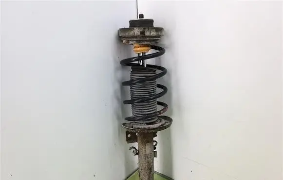 Skoda Fabia Mk1 (6Y) Front shock absorber with coil spring 6Q0413031BH