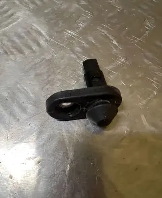 Toyota RAV 4 (XA30) Front door sensor 