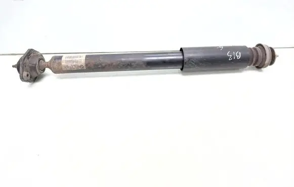 BMW X1 E84 Rear shock absorber/damper 6851342 33526851342