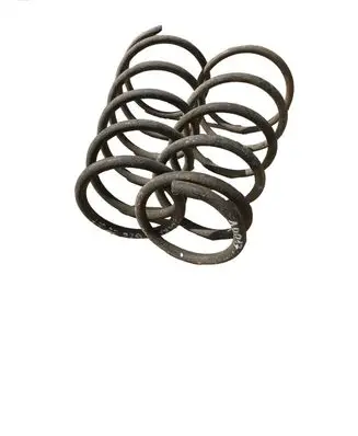 Rear coil spring