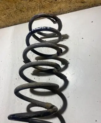 Rear coil spring