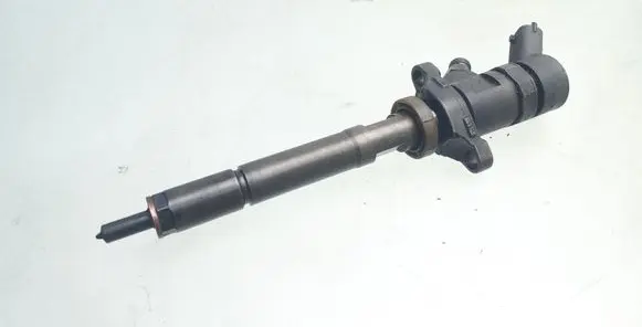 Citroen C5 Fuel injector 0445110188 892080