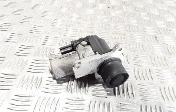 Skoda Roomster (5J) EGR valve 03G131501N 70067804Q 03G131502