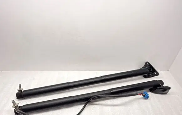 Tailgate/trunk strut/damper