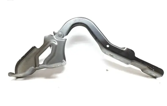 Dacia Sandero Engine bonnet/hood hinges 6950R00001 25C0
