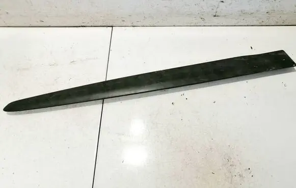 Rear door trim (molding)