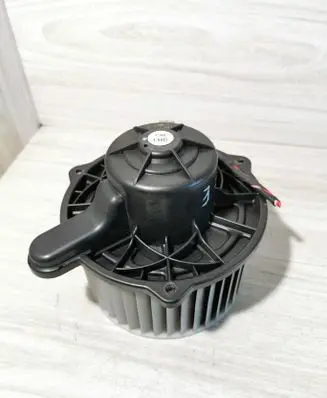 Hyundai Santa Fe Heater fan/blower F00S33F011