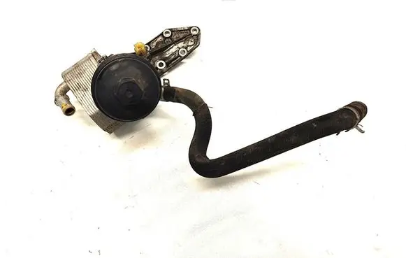 Oil filter mounting bracket