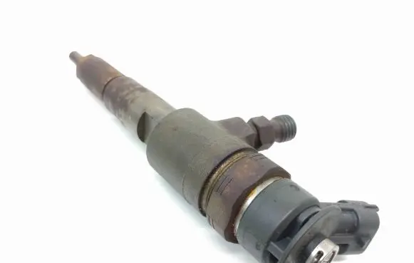 Citroen C3 Fuel injector 0445110252 565889