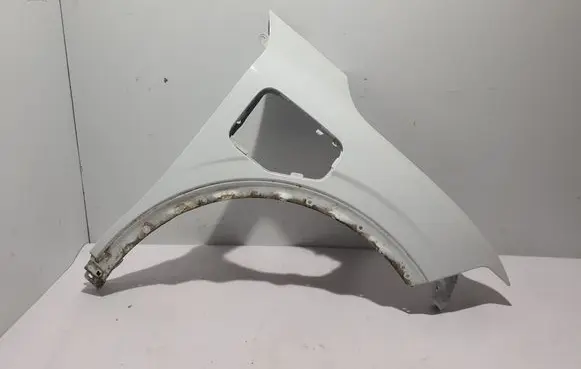 Renault Megane E-Tech Fender 9317R4575R