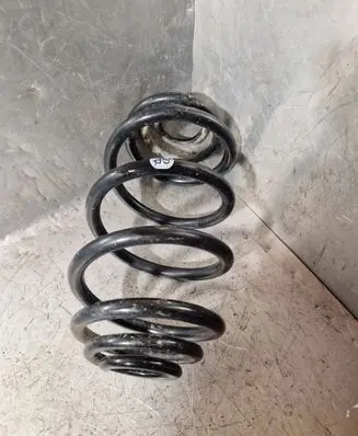 Rear coil spring