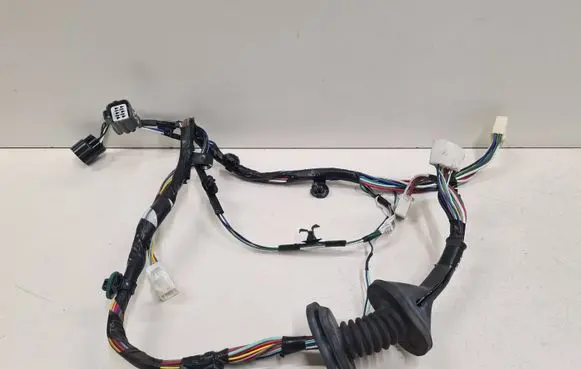 Front door wiring loom