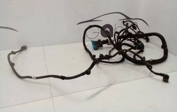 Maserati Levante Other wiring loom 06700323660